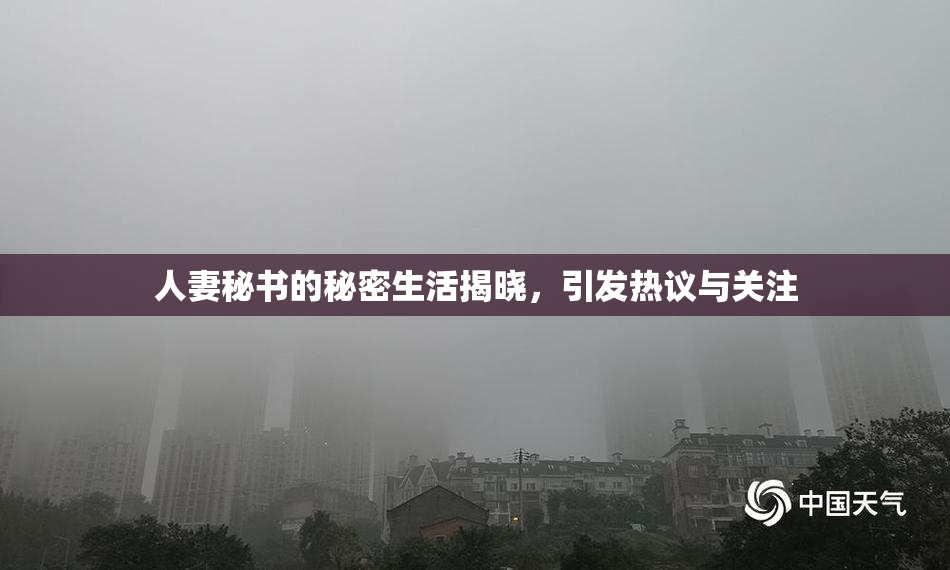 人妻秘书的秘密生活揭晓，引发热议与关注