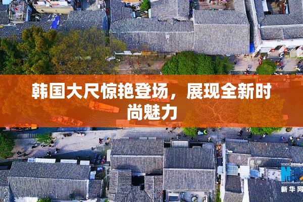 韩国大尺惊艳登场，展现全新时尚魅力