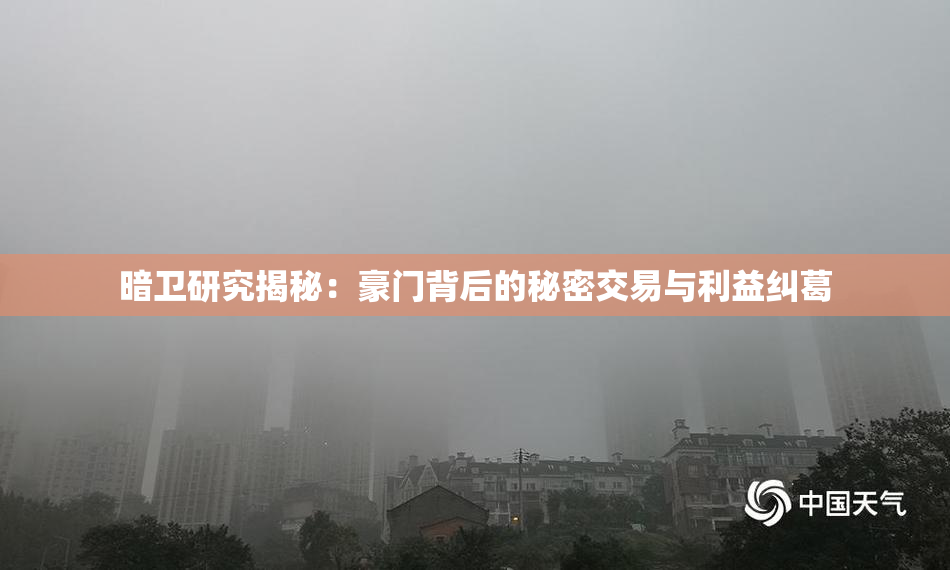 暗卫研究揭秘：豪门背后的秘密交易与利益纠葛