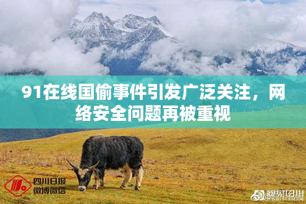 91在线国偷事件引发广泛关注，网络安全问题再被重视