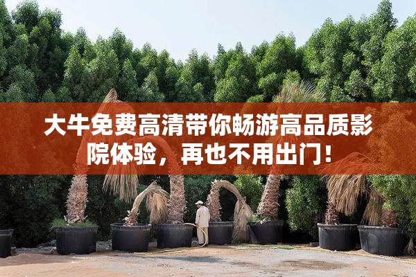 大牛免费高清带你畅游高品质影院体验，再也不用出门！