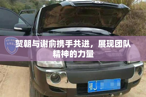 贺朝与谢俞携手共进，展现团队精神的力量