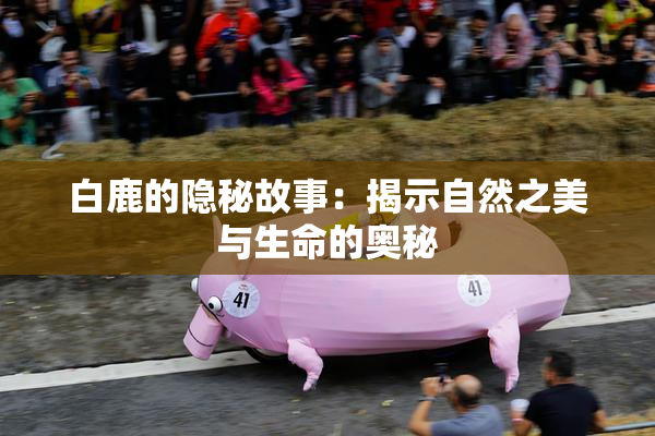 白鹿的隐秘故事：揭示自然之美与生命的奥秘
