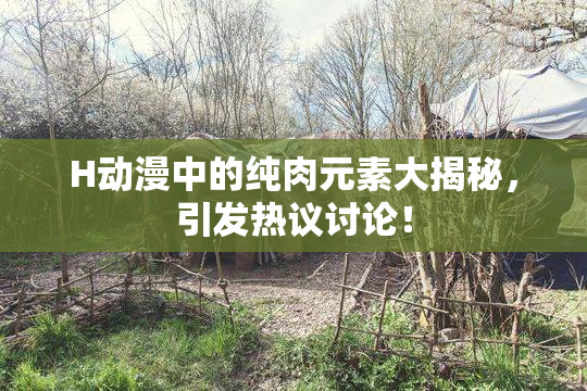 H动漫中的纯肉元素大揭秘，引发热议讨论！