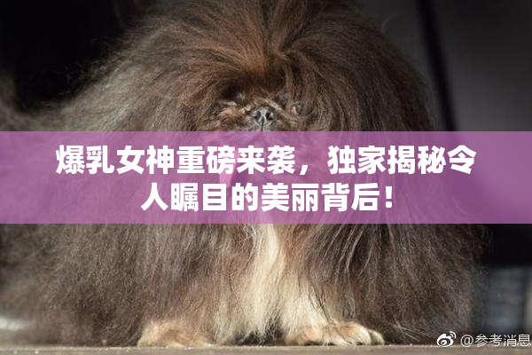爆乳女神重磅来袭，独家揭秘令人瞩目的美丽背后！