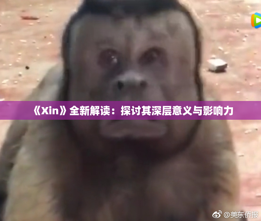 《Xin》全新解读：探讨其深层意义与影响力