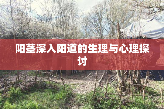 阳茎深入阳道的生理与心理探讨