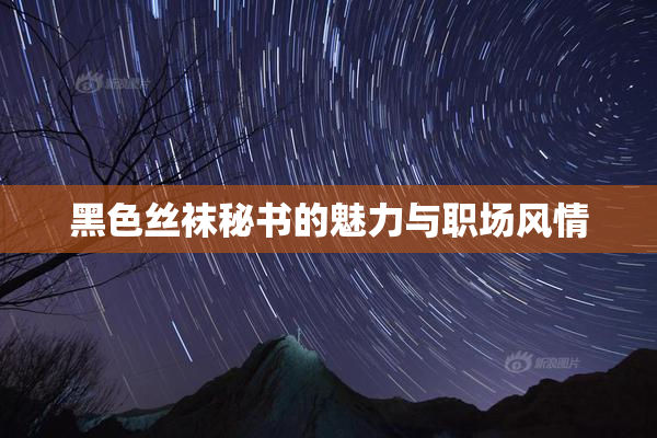 黑色丝袜秘书的魅力与职场风情