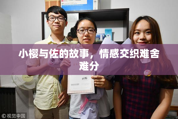 小樱与佐的故事，情感交织难舍难分