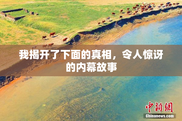 我揭开了下面的真相，令人惊讶的内幕故事