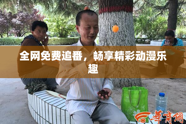 全网免费追番，畅享精彩动漫乐趣