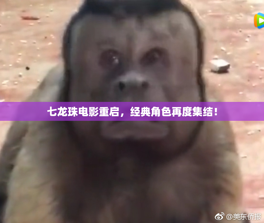 七龙珠电影重启，经典角色再度集结！