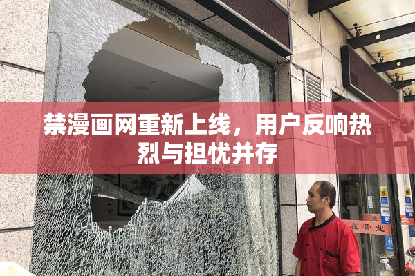 禁漫画网重新上线，用户反响热烈与担忧并存