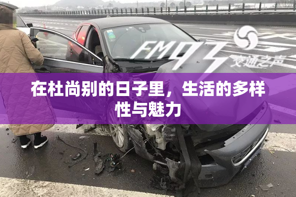 在杜尚别的日子里，生活的多样性与魅力