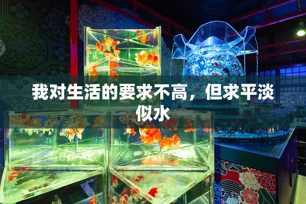 我对生活的要求不高，但求平淡似水