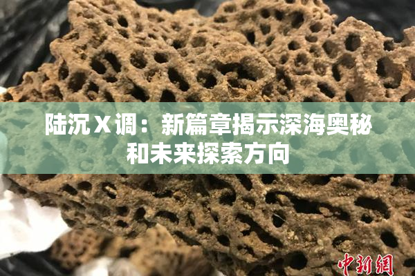 陆沉Ⅹ调：新篇章揭示深海奥秘和未来探索方向
