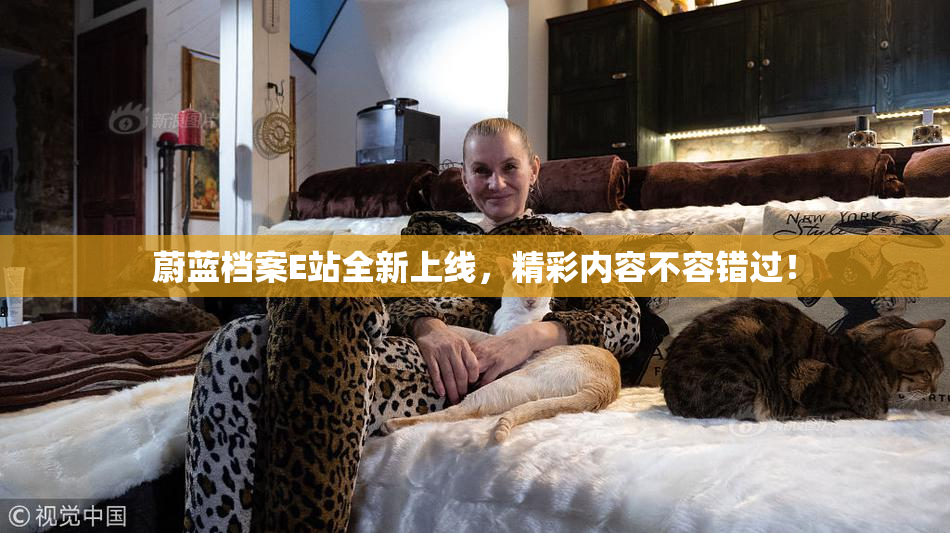 蔚蓝档案E站全新上线，精彩内容不容错过！