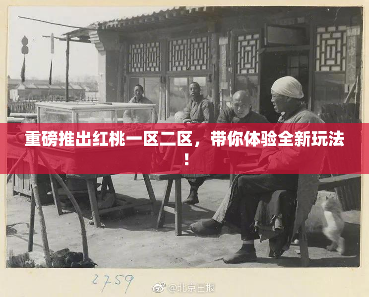 重磅推出红桃一区二区，带你体验全新玩法！