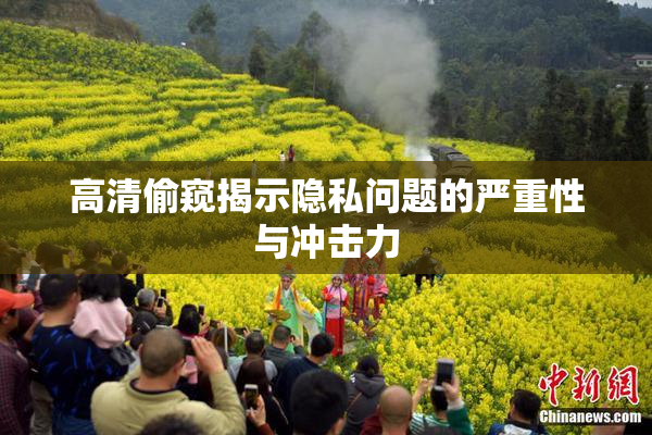 高清偷窥揭示隐私问题的严重性与冲击力