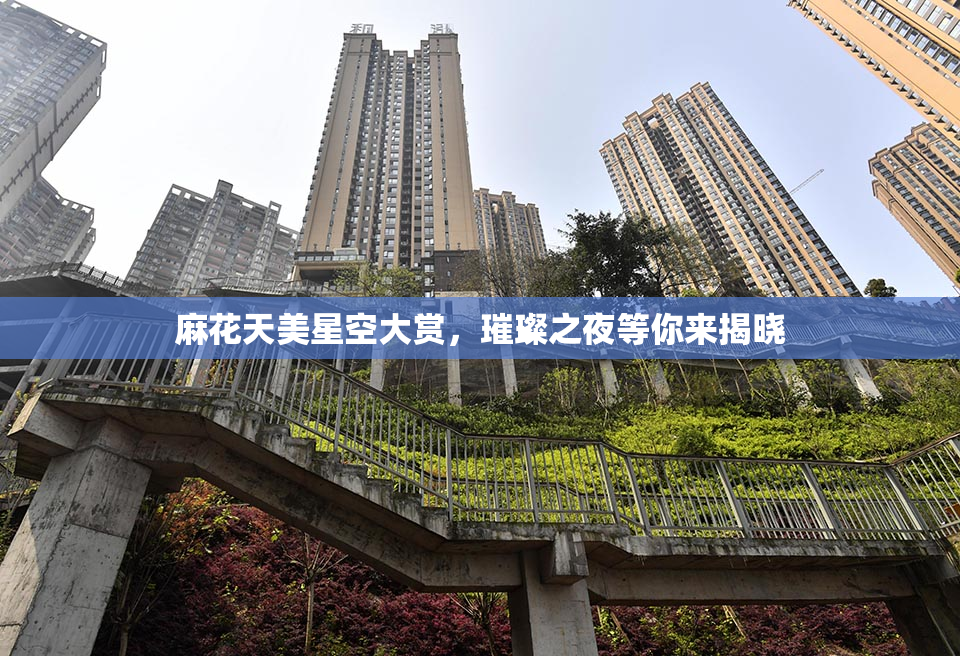 麻花天美星空大赏，璀璨之夜等你来揭晓