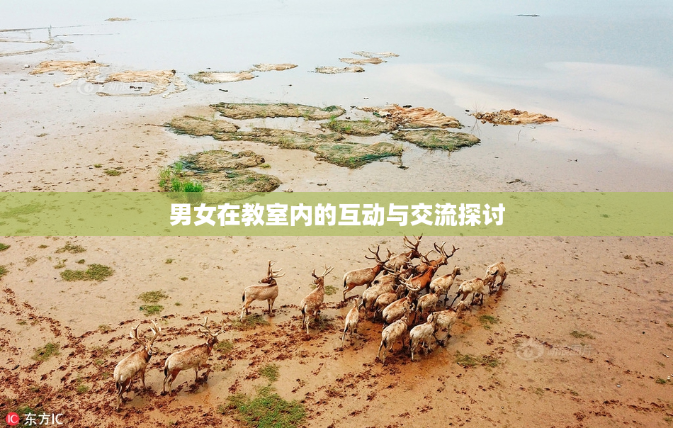 男女在教室内的互动与交流探讨