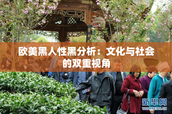 欧美黑人性黑分析：文化与社会的双重视角