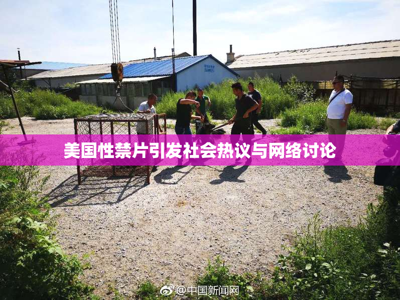 美国性禁片引发社会热议与网络讨论