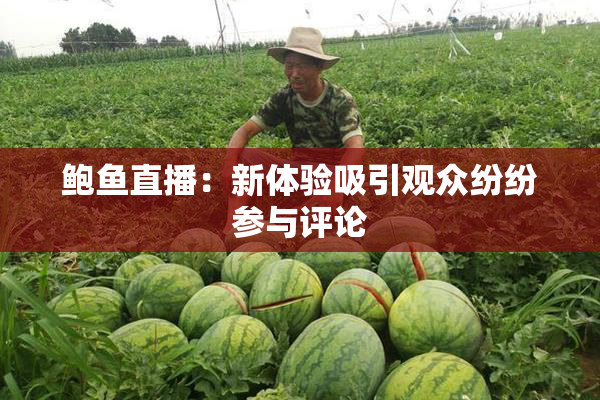 鲍鱼直播：新体验吸引观众纷纷参与评论