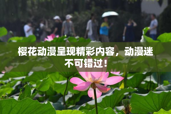 樱花动漫呈现精彩内容，动漫迷不可错过！