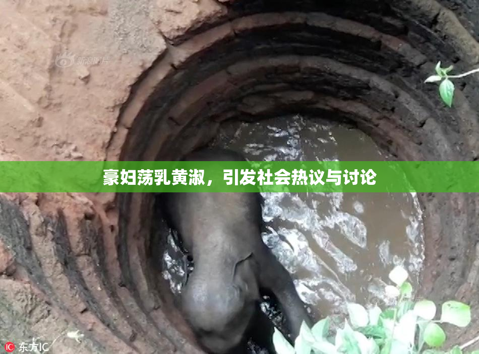 豪妇荡乳黄淑，引发社会热议与讨论