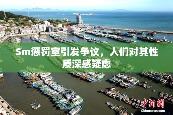 Sm惩罚室引发争议，人们对其性质深感疑虑