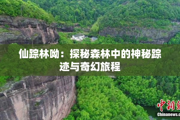 仙踪林呦：探秘森林中的神秘踪迹与奇幻旅程