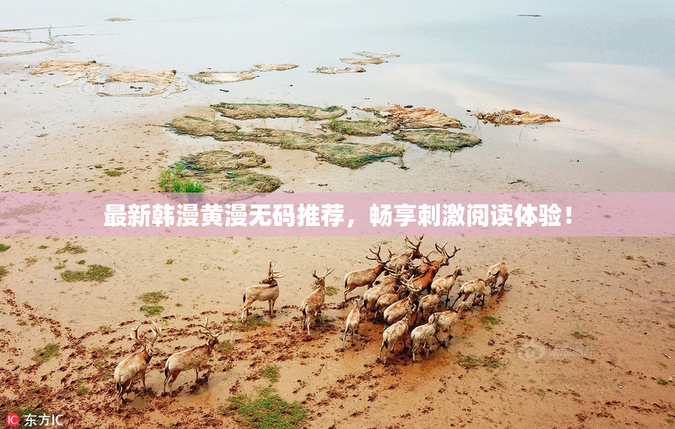 最新韩漫黄漫无码推荐，畅享刺激阅读体验！