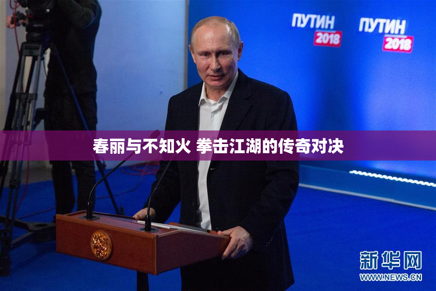 春丽与不知火 拳击江湖的传奇对决