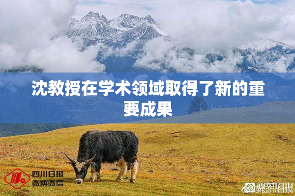 沈教授在学术领域取得了新的重要成果
