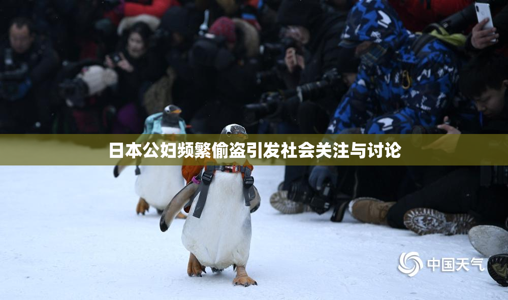 日本公妇频繁偷盗引发社会关注与讨论