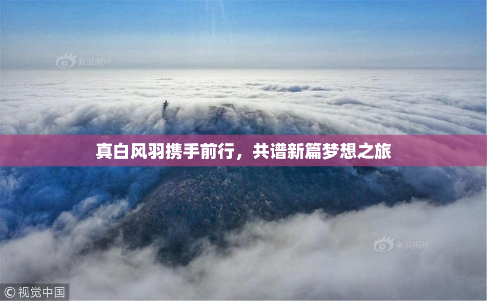 真白风羽携手前行，共谱新篇梦想之旅