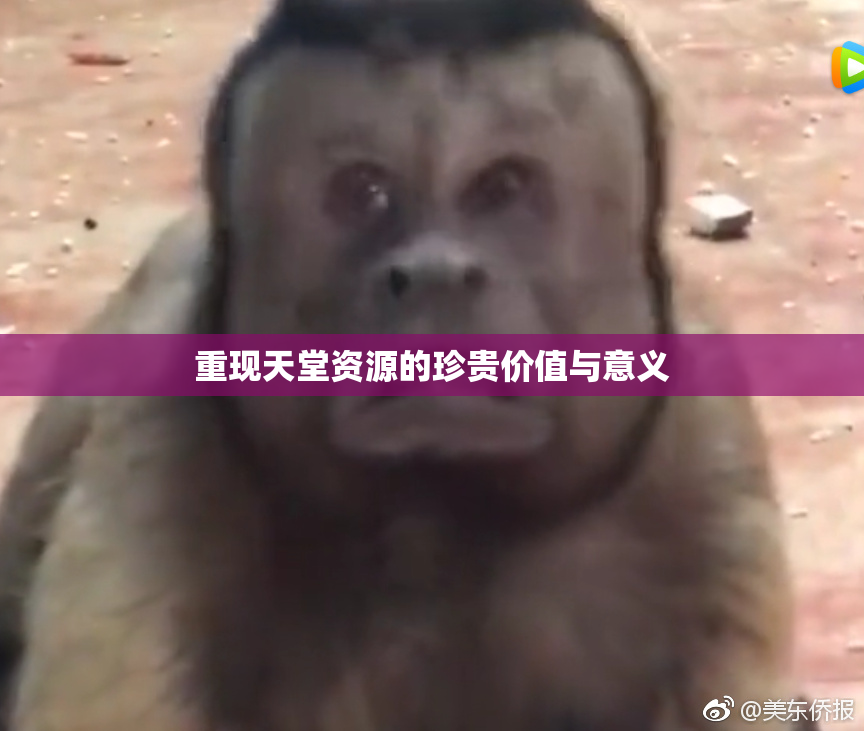 重现天堂资源的珍贵价值与意义