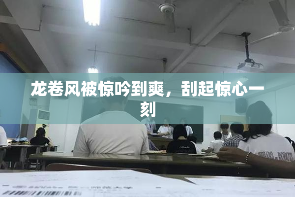 龙卷风被惊吟到爽，刮起惊心一刻