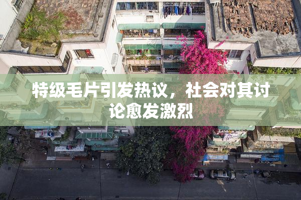 特级毛片引发热议，社会对其讨论愈发激烈