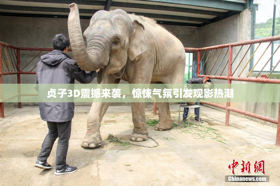 贞子3D震撼来袭，惊悚气氛引发观影热潮