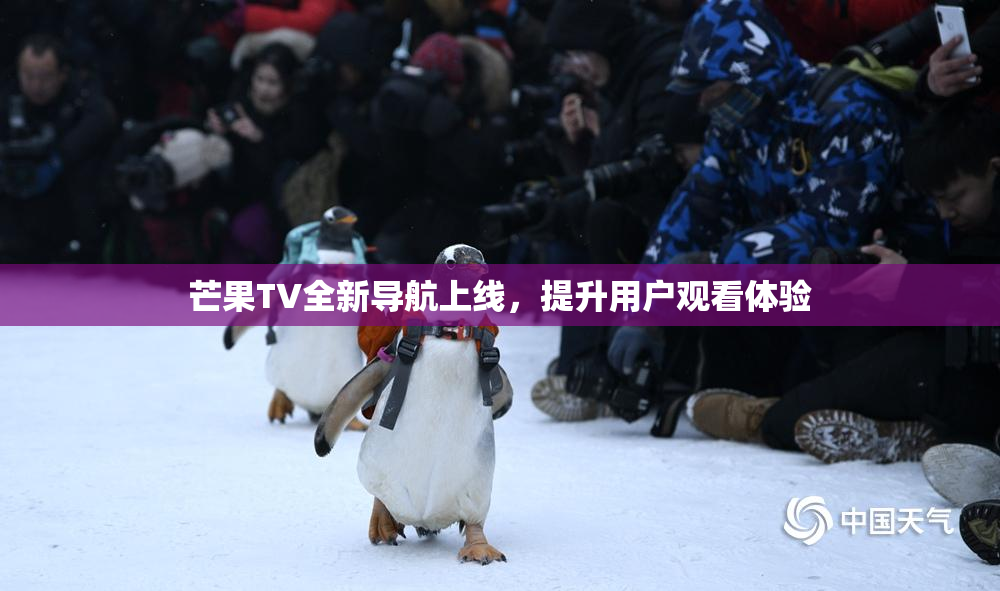 芒果TV全新导航上线，提升用户观看体验