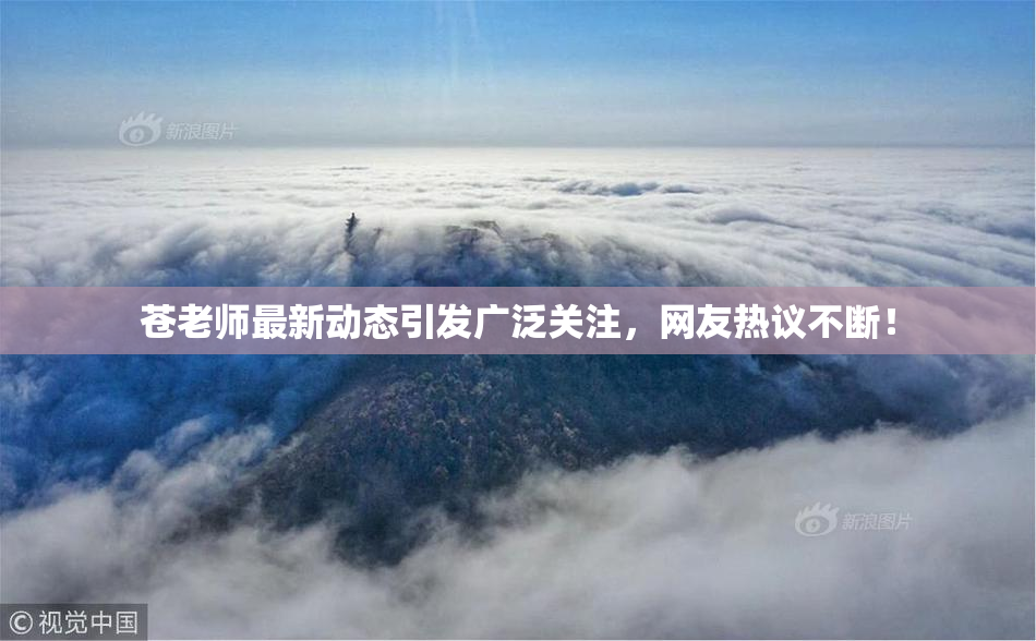 苍老师最新动态引发广泛关注，网友热议不断！