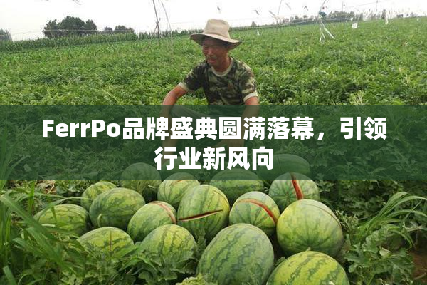 FerrPo品牌盛典圆满落幕，引领行业新风向
