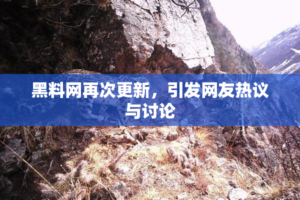 黑料网再次更新，引发网友热议与讨论