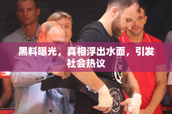 黑料曝光，真相浮出水面，引发社会热议
