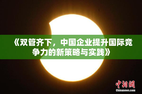 《双管齐下，中国企业提升国际竞争力的新策略与实践》