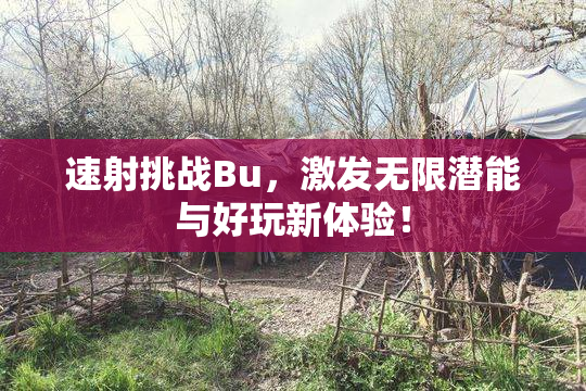 速射挑战Bu，激发无限潜能与好玩新体验！