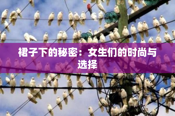 裙子下的秘密：女生们的时尚与选择