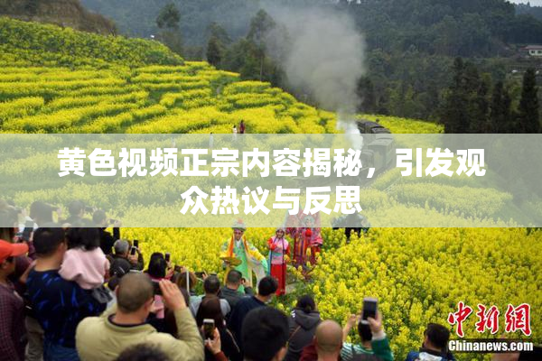 黄色视频正宗内容揭秘，引发观众热议与反思